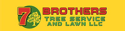 7 Brothers Tree Service and Lawn LLC